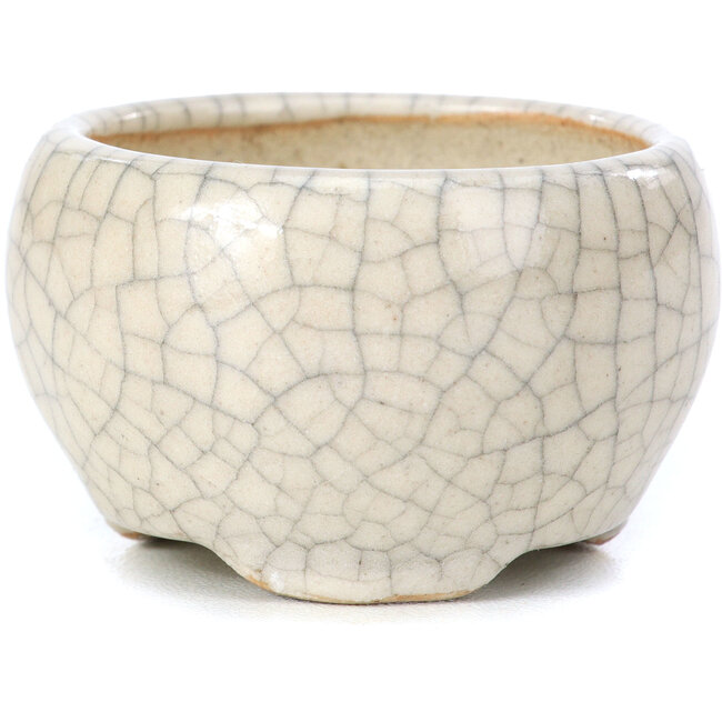 Ronde beige bonsaipot van Bonsai - 60 x 60 x 35 mm