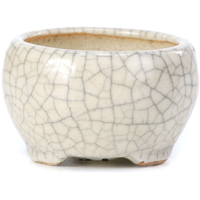 Runde beige Bonsaischale von Bonsai - 60 x 60 x 35 mm