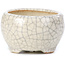 Pot à bonsaï rond beige par Bonsai - 60 x 60 x 35 mm