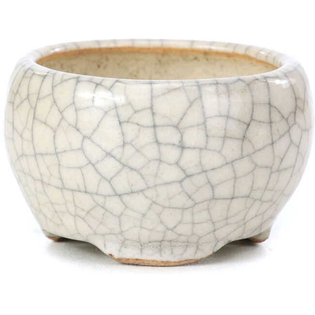 Ronde beige bonsaipot van Bonsai - 60 x 60 x 35 mm