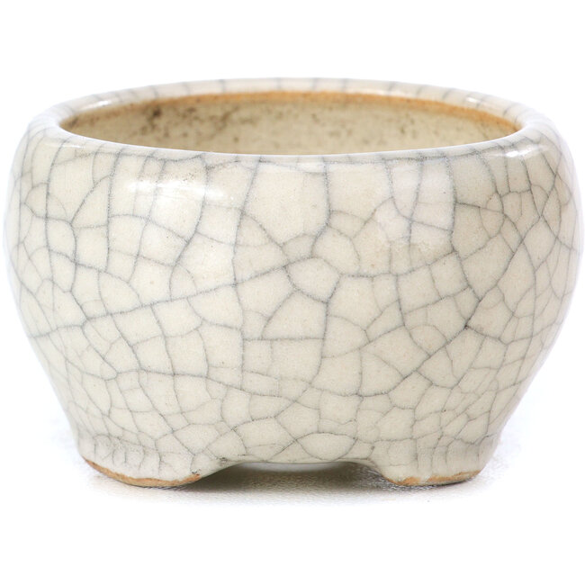 Vaso per bonsai rotondo beige di Bonsai - 60 x 60 x 35 mm