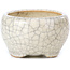 Pot à bonsaï rond beige par Bonsai - 60 x 60 x 35 mm