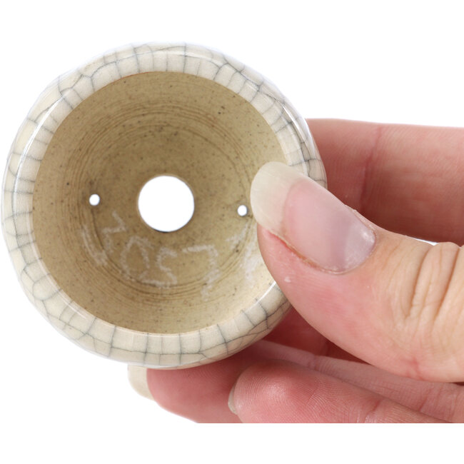 Vaso per bonsai rotondo beige di Bonsai - 60 x 60 x 35 mm