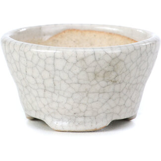 Bonsai 60 mm round beige bonsai pot by Bonsai, Japan