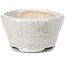 Pot à bonsaï rond beige par Bonsai - 60 x 60 x 35 mm