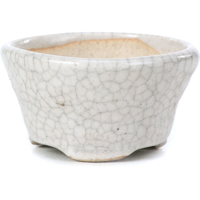 Maceta de bonsái redonda beige de Bonsai - 60 x 60 x 35 mm