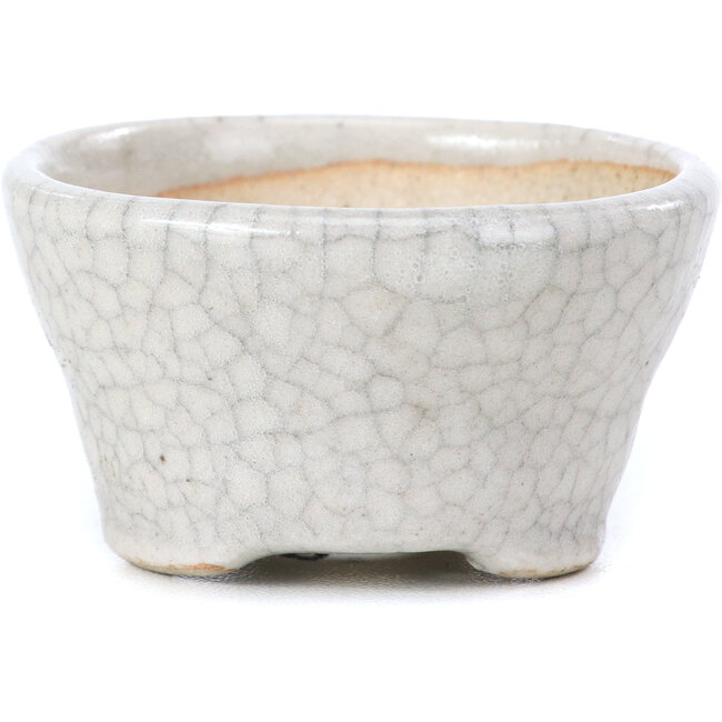 Round beige bonsai pot by Bonsai - 60 x 60 x 35 mm