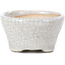 Pot à bonsaï rond beige par Bonsai - 60 x 60 x 35 mm