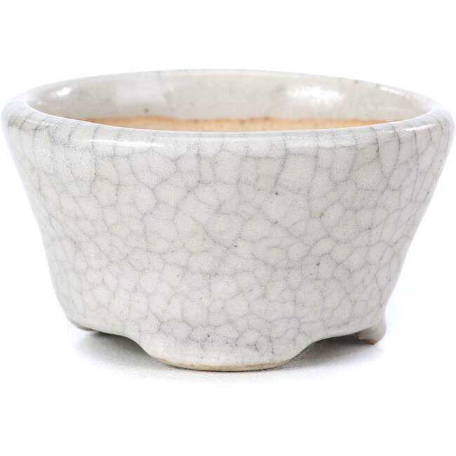 Pot à bonsaï rond beige par Bonsai - 60 x 60 x 35 mm