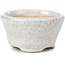 Vaso per bonsai rotondo beige di Bonsai - 60 x 60 x 35 mm