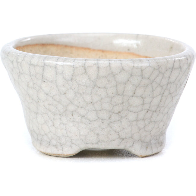 Vaso per bonsai rotondo beige di Bonsai - 60 x 60 x 35 mm