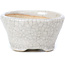 Pot à bonsaï rond beige par Bonsai - 60 x 60 x 35 mm