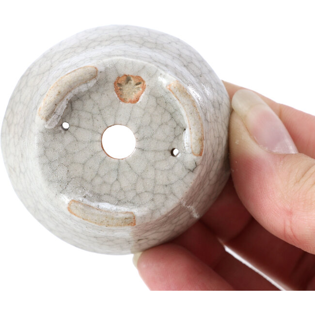 Runde beige Bonsaischale von Bonsai - 60 x 60 x 35 mm