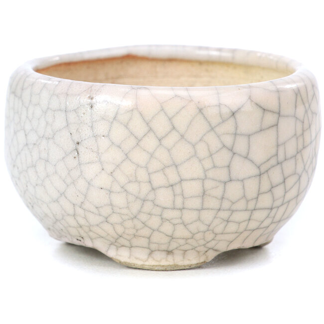 Vaso per bonsai rotondo beige di Bonsai - 60 x 60 x 35 mm