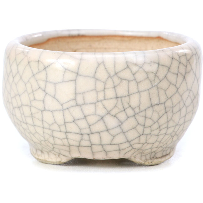 Runde beige Bonsaischale von Bonsai - 60 x 60 x 35 mm