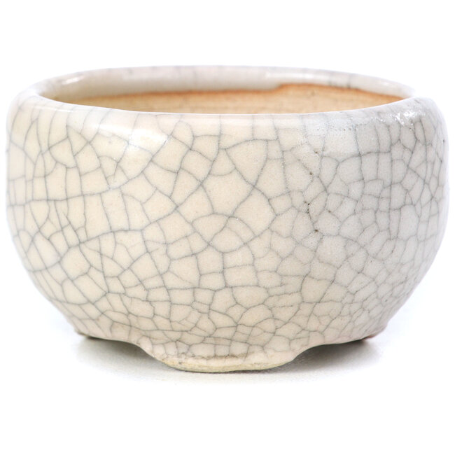 Vaso per bonsai rotondo beige di Bonsai - 60 x 60 x 35 mm