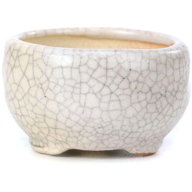Pot à bonsaï rond beige par Bonsai - 60 x 60 x 35 mm