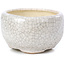 Pot à bonsaï rond beige par Bonsai - 60 x 60 x 35 mm