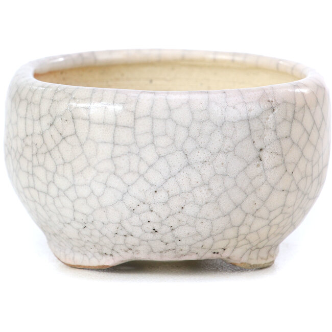 Vaso per bonsai rotondo beige di Bonsai - 60 x 60 x 35 mm