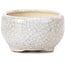 Vaso per bonsai rotondo beige di Bonsai - 60 x 60 x 35 mm