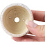 Pot à bonsaï rond beige par Bonsai - 60 x 60 x 35 mm