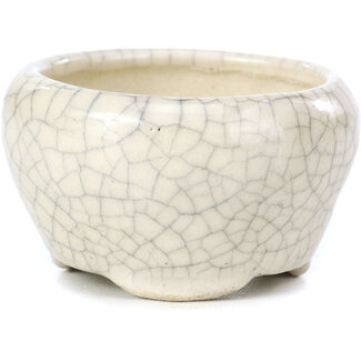 Bonsai Pot à bonsaï rond beige de 60 mm par Bonsai, Japon