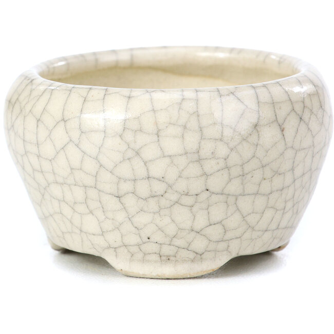 Maceta de bonsái redonda beige de Bonsai - 60 x 60 x 35 mm