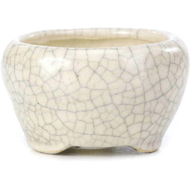 Maceta de bonsái redonda beige de Bonsai - 60 x 60 x 35 mm