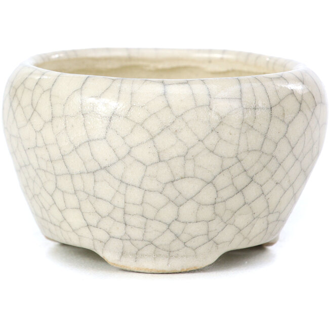 Maceta de bonsái redonda beige de Bonsai - 60 x 60 x 35 mm