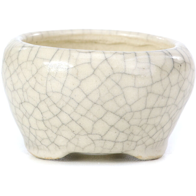 Ronde beige bonsaipot van Bonsai - 60 x 60 x 35 mm