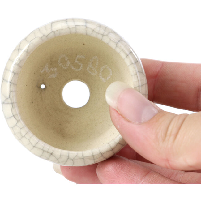 Runde beige Bonsaischale von Bonsai - 60 x 60 x 35 mm