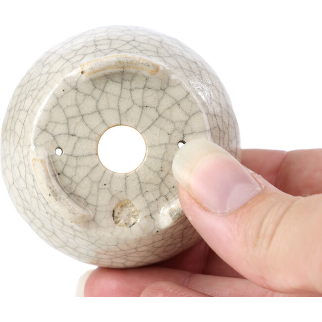 Pot à bonsaï rond beige par Bonsai - 60 x 60 x 35 mm