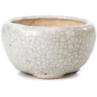 Bonsai 60 mm round beige bonsai pot by Bonsai, Japan