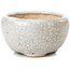 Pot à bonsaï rond beige par Bonsai - 60 x 60 x 35 mm