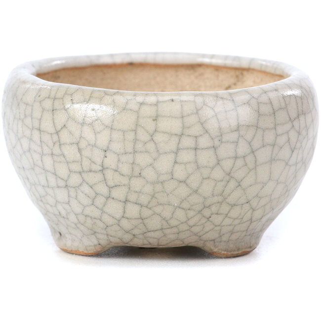 Round beige bonsai pot by Bonsai - 60 x 60 x 35 mm