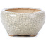 Pot à bonsaï rond beige par Bonsai - 60 x 60 x 35 mm
