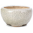 Pot à bonsaï rond beige par Bonsai - 60 x 60 x 35 mm