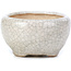 Pot à bonsaï rond beige par Bonsai - 60 x 60 x 35 mm