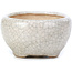 Vaso per bonsai rotondo beige di Bonsai - 60 x 60 x 35 mm