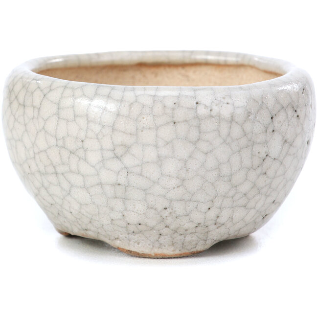 Pot à bonsaï rond beige par Bonsai - 60 x 60 x 35 mm