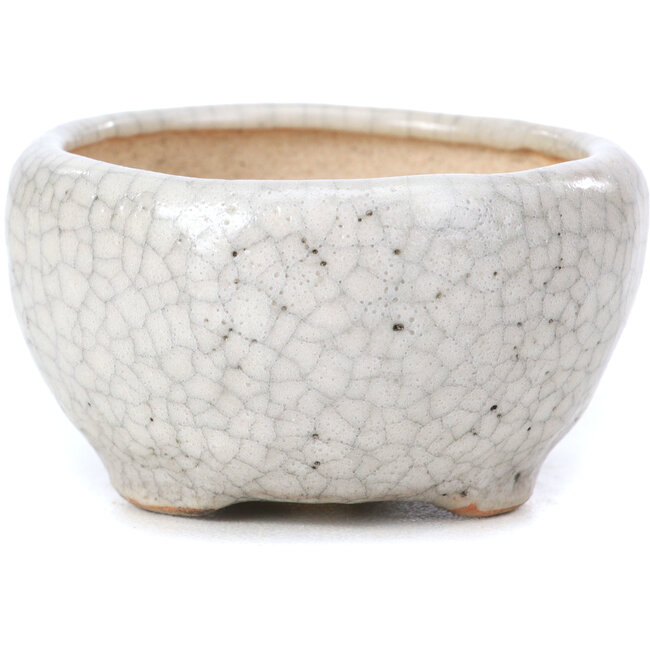 Maceta de bonsái redonda beige de Bonsai - 60 x 60 x 35 mm