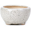 Pot à bonsaï rond beige par Bonsai - 60 x 60 x 35 mm