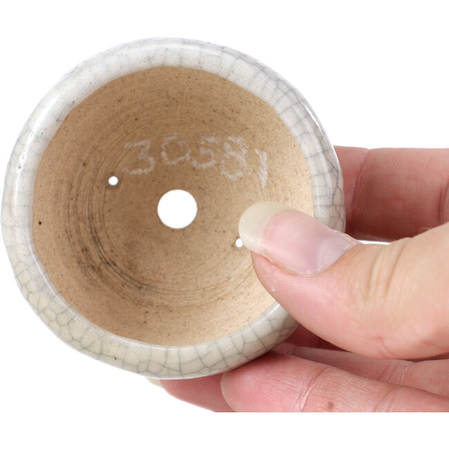 Maceta de bonsái redonda beige de Bonsai - 60 x 60 x 35 mm