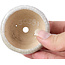 Pot à bonsaï rond beige par Bonsai - 60 x 60 x 35 mm