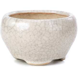 Bonsai 60 mm round beige bonsai pot by Bonsai, Japan