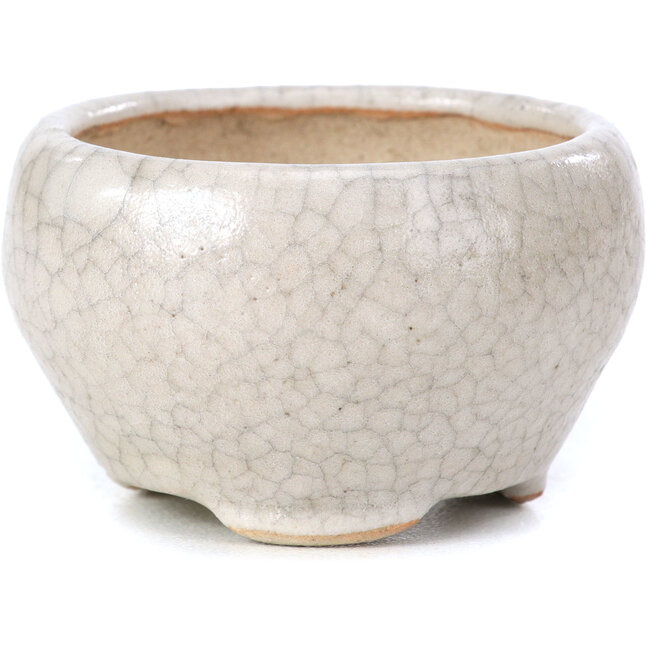 Pot à bonsaï rond beige par Bonsai - 60 x 60 x 35 mm