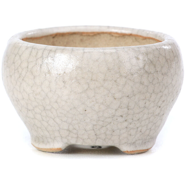 Pot à bonsaï rond beige par Bonsai - 60 x 60 x 35 mm