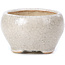Pot à bonsaï rond beige par Bonsai - 60 x 60 x 35 mm