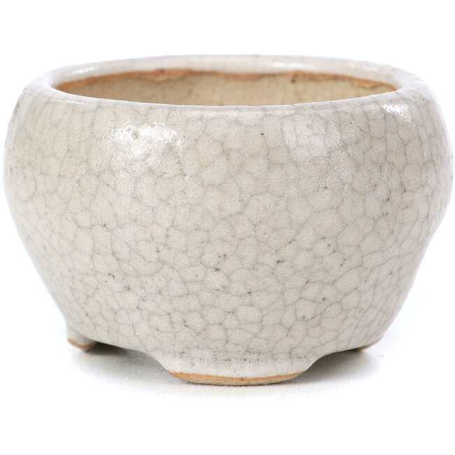 Maceta de bonsái redonda beige de Bonsai - 60 x 60 x 35 mm