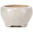 Pot à bonsaï rond beige par Bonsai - 60 x 60 x 35 mm